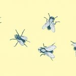 Kleines Schneiderlein ganz groß - 7 gezeichnete Fliegen sitzen auf einer gelben Wand
